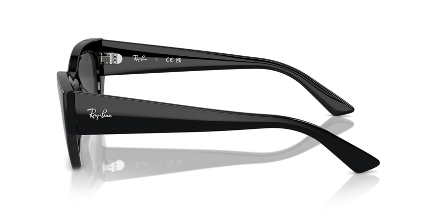 RB-4430 667787 BLACK(DARK GREY 49*22, Negre, hi-res image number 2