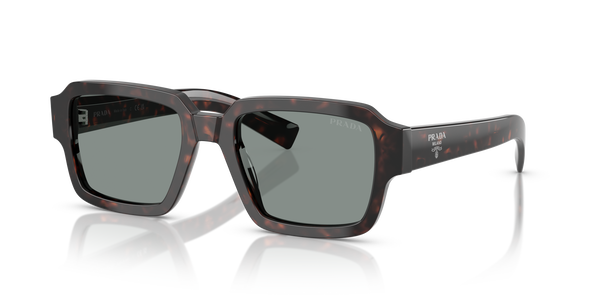 PRADA-02ZS/S 17N20N ROOT TORTOISE(BLUE 52*20, Carey arrel, hi-res 0