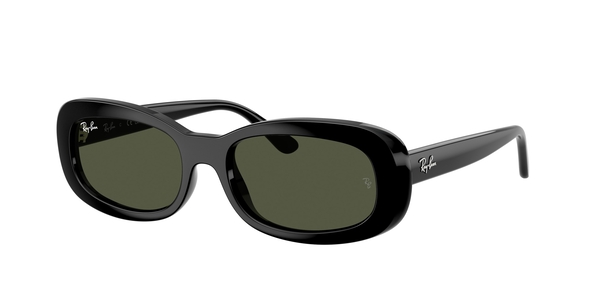 ray-ban rb 2221