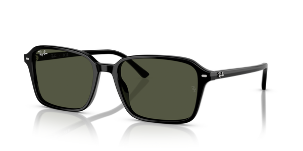 RB-2231 901/31 BLACK(GREEN 58*18, Negre, hi-res 0