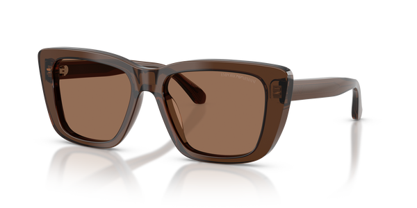 EMPORIO-4246U/S 625173 SHINY TRANSPARENT BROWN(DARK BROWN 54*17, , hi-res 0