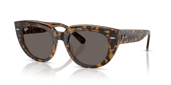 RB-2286 1292B1 HAVANA ON TRANSPARENT BROWN(DARK GREY 49*20, Havana | Marró transparent, hi-res 0