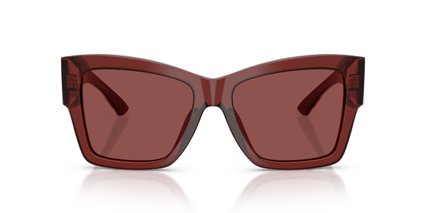 gabbana-4493/s 304575 transparent bordeaux(dark violet 55*17