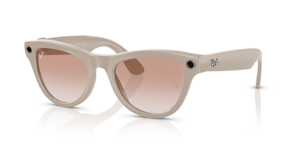 ray-ban meta skyler rw 4010