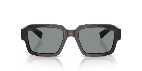 PRADA-02ZS/S 17N20N ROOT TORTOISE(BLUE 52*20, Carey arrel, hi-res 1