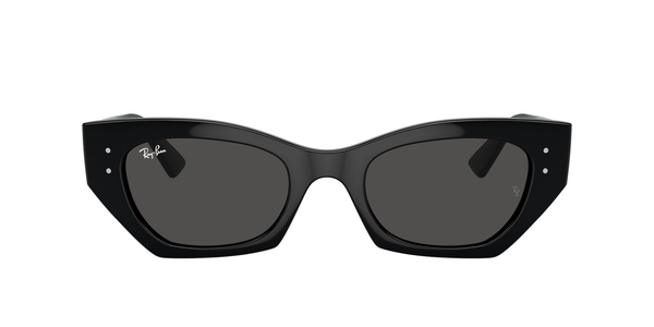 RB-4430 667787 BLACK(DARK GREY 49*22, Negre, hi-res 1