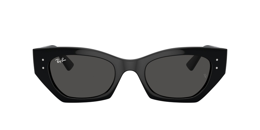RB-4430 667787 BLACK(DARK GREY 49*22, Negre, hi-res image number 1