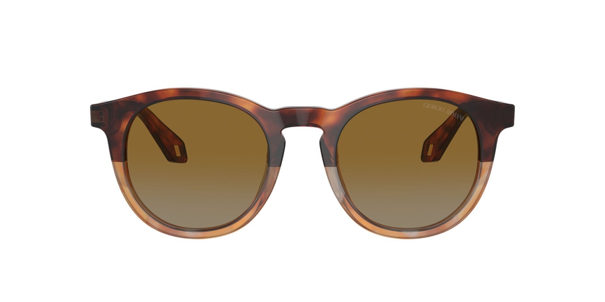 ARMANI-8192/S 6034B2 RED HAVANA/HONEY HAVANA(LIGHT GREY GRADIENT YELLOW 50*21, Havana vermell, hi-res image number 1