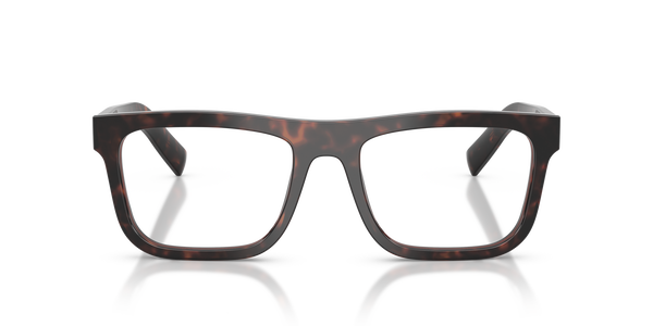 PRADA- C03V/G 17N1O1 ROOT TORTOISE 55*19, , hi-res 1