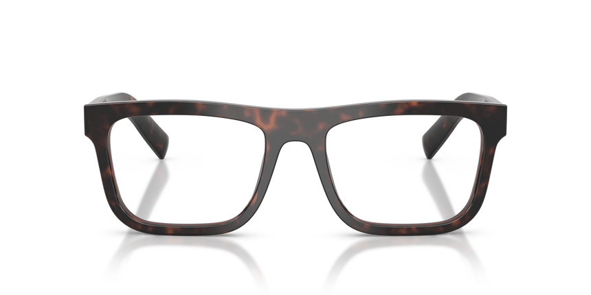 PRADA- C03V/G 17N1O1 ROOT TORTOISE 55*19, , hi-res image number 1