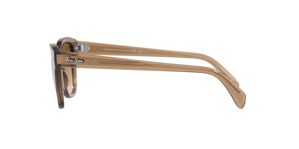 RB-0707S 664051 TRANSP. LIGHT BROWN(CLEAR GRADI BROW 50*21, Marró, hi-res 9 RB-0707S 664051 TRANSP. LIGHT BROWN(CLEAR GRADI BROW 50*21, Marró, hi-res 9