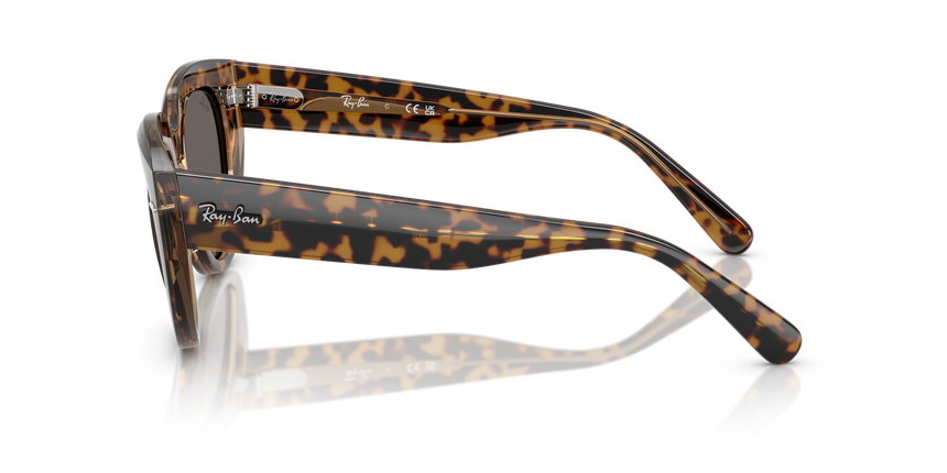 RB-2286 1292B1 HAVANA ON TRANSPARENT BROWN(DARK GREY 49*20, Havana | Marró transparent, hi-res image number 2