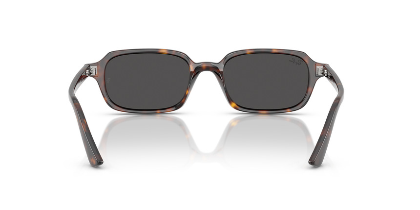RB-4455 135987 HAVANA(DARK GREY 52*19, Havana, hi-res image number 3