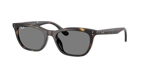 RB-4474D 710/87 HAVANA(DARK GREY 54*18, Havana, hi-res 0