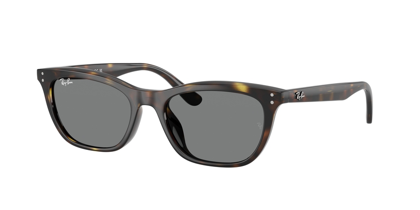 RB-4474D 710/87 HAVANA(DARK GREY 54*18, Havana, hi-res image number 0