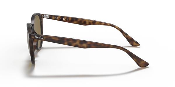 RB-4305 710/73 HAVANA(DARK BROWN 53*19, Havana clar, hi-res 2