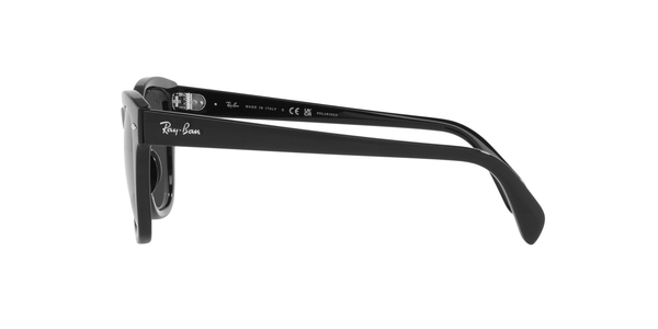 RB-0707S 901/48 BLACK(POLAR BLACK 53*21, Negre, hi-res 2