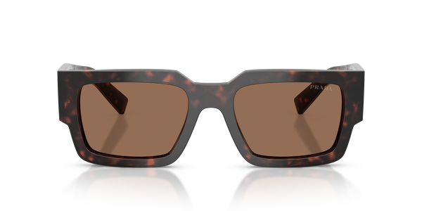 PRADA- B17S/S 17N06B ROOT TORTOISE(DARK BROWN 54*20, , hi-res 2