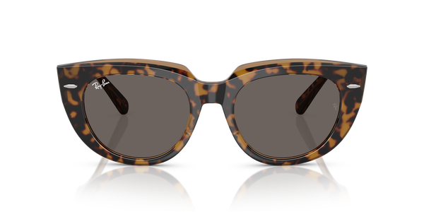 RB-2286 1292B1 HAVANA ON TRANSPARENT BROWN(DARK GREY 49*20, Havana | Marró transparent, hi-res 1