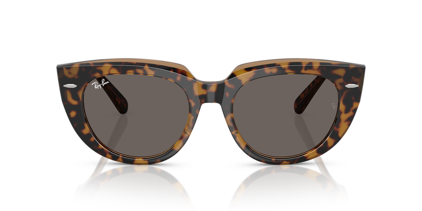 RB-2286 1292B1 HAVANA ON TRANSPARENT BROWN(DARK GREY 49*20, Havana | Marró transparent, hi-res image number 1