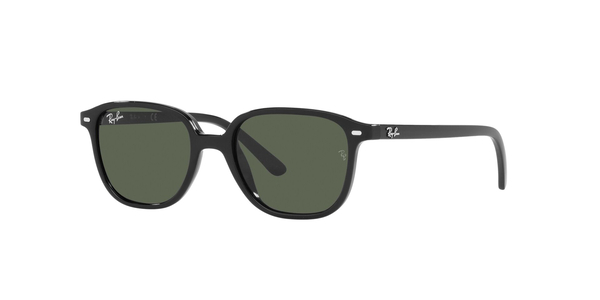RJ-9093S 100/71 BLACK(DARK GREEN 45*16, Negre, hi-res 0