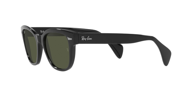 RB-0880S 901/31 BLACK(GREEN 52*19, Negre, hi-res 10 RB-0880S 901/31 BLACK(GREEN 52*19, Negre, hi-res 10