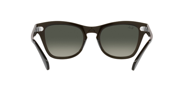 RB-0707S 664271 TRANSPARENT OLIVE GREEN(GREY GRADIENT 50*21, Negre, hi-res 6 RB-0707S 664271 TRANSPARENT OLIVE GREEN(GREY GRADIENT 50*21, Negre, hi-res 6