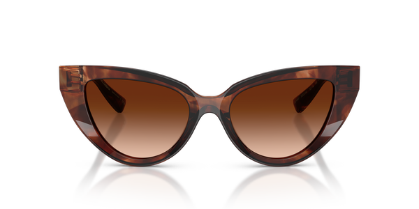 GABBANA-4497/S 322274 DARK RED HAVANA(BROWN GRADIENT 52*18, Burdeus Havana, hi-res 1