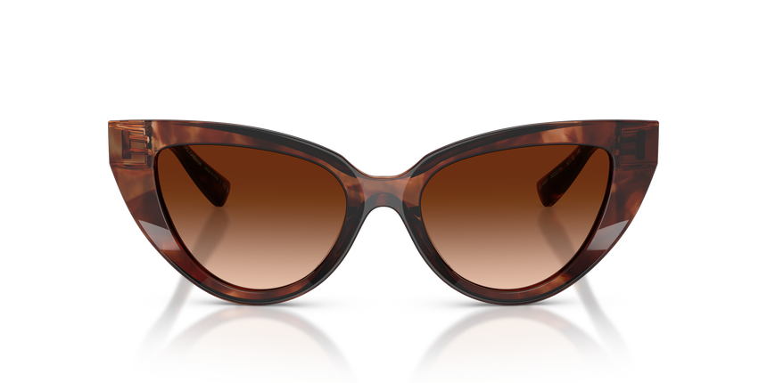 GABBANA-4497/S 322274 DARK RED HAVANA(BROWN GRADIENT 52*18, Burdeus Havana, hi-res image number 1