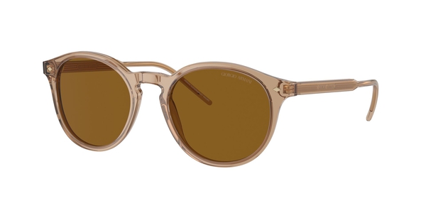 ARMANI-8211/S 607233 TRASPARENT BROWN(BROWN 52*20, , hi-res 0