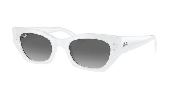RB-4430 675911 WHITE SNOW(GREY GRADIENT 49*22, Blanc, hi-res 0