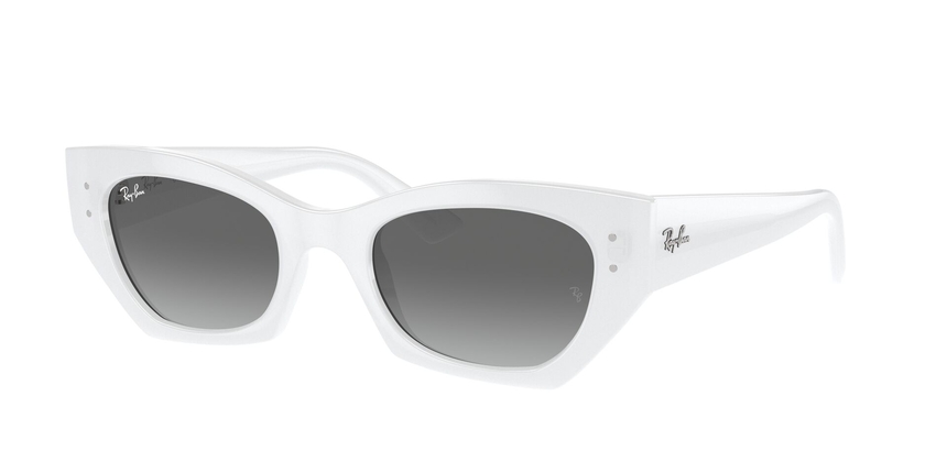RB-4430 675911 WHITE SNOW(GREY GRADIENT 49*22, Blanc, hi-res image number 0