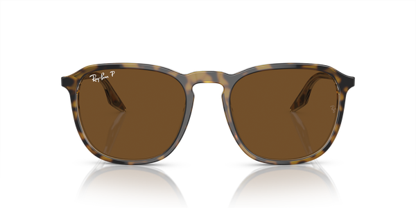 RB-2203 1393/57 HAVANA/TRANSPARENTE (BROWN POL 52*20, Havana | Transparent, hi-res 1