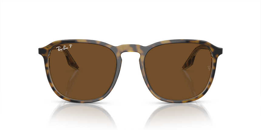 RB-2203 1393/57 HAVANA/TRANSPARENTE (BROWN POL 52*20, Havana | Transparent, hi-res image number 1