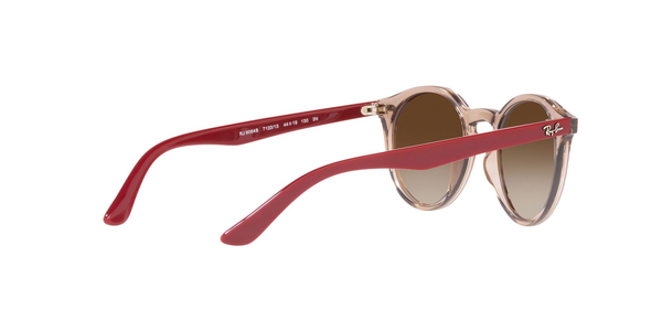 RJ-9064S 712313 TRASPARENT BROWN(GRADIENT BROWN 44*19, Transparent, hi-res 4 RJ-9064S 712313 TRASPARENT BROWN(GRADIENT BROWN 44*19, Transparent, hi-res 4