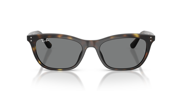 RB-4474D 710/87 HAVANA(DARK GREY 54*18, Havana, hi-res 1