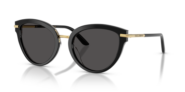 gabbana-4492/s 32998g top black on leo(dark grey 55*21