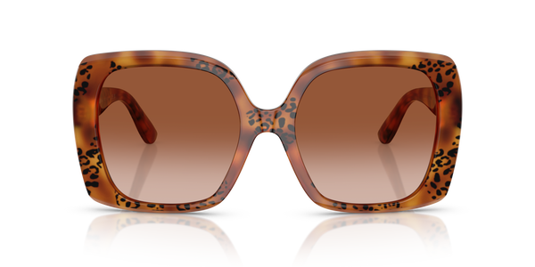 GABBANA-4475/S 338013 HAVANA LEO(BROWN GRADIENT 56*19, Havana leopard, hi-res 1