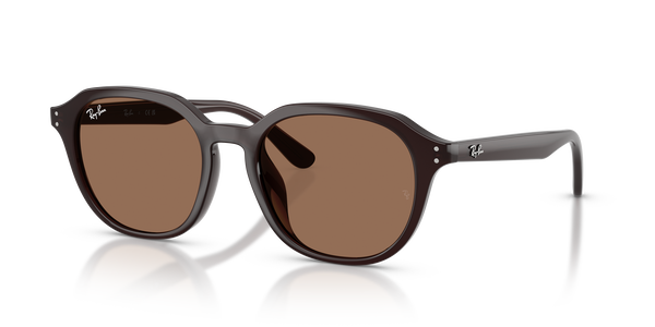RB-4459D 6231/73 BROWN 54*19, Marr&oacute; &ograve;pal, hi-res 0