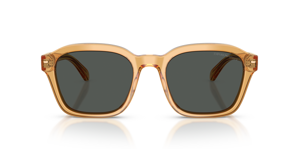 emporio-4245u/s 624687 shiny transparent yellow(dark grey 54*21