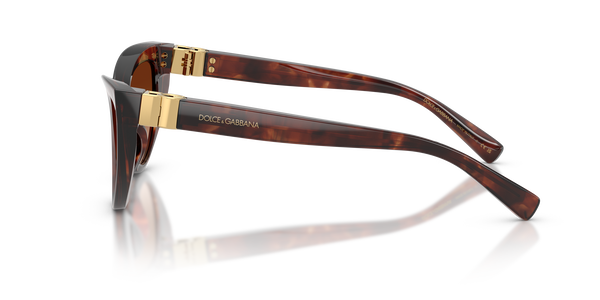 GABBANA-4497/S 322274 DARK RED HAVANA(BROWN GRADIENT 52*18, Burdeus Havana, hi-res 2