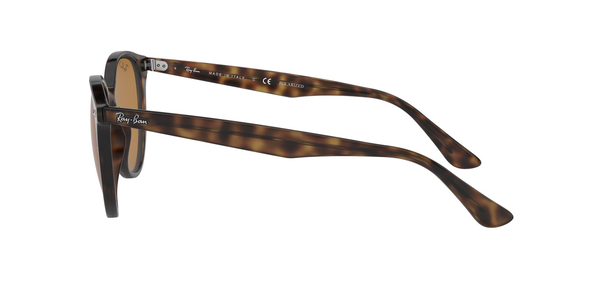 RB-4305 710/83 HAVANA (POLAR BROWN) 53*19, Havana, hi-res 2