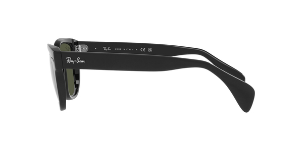 RB-0880S 901/31 BLACK(GREEN 52*19, Negre, hi-res 9 RB-0880S 901/31 BLACK(GREEN 52*19, Negre, hi-res 9