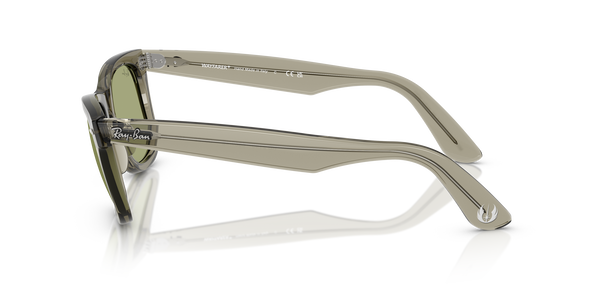 RB-2140 68694E TRANSPARENT GREEN(BOTTLE GREEN 50*22, Verde, hi-res 2