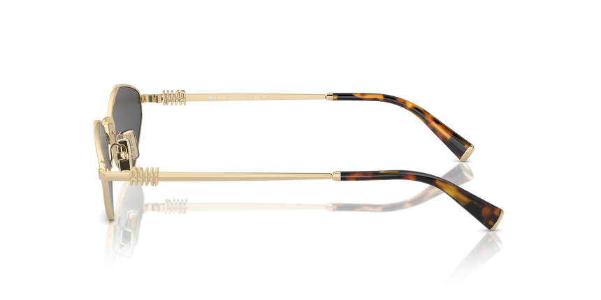 MIUMIU-56ZS/S ZVN5S0 PALE GOLD (DARK GREY) 56*17, Daurat, hi-res image number 2