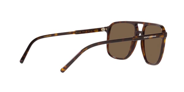GABBANA-4423/S 502/73 HAVANA(DARK BROWN 58*18, , hi-res 4 GABBANA-4423/S 502/73 HAVANA(DARK BROWN 58*18, , hi-res 4
