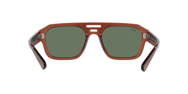 RB-4397 667882 TRANSPARENT BROWN(DARK GREEN 54*20, Marró, hi-res 6