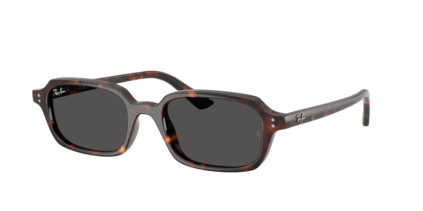 RAY-BAN ZURI RB 4455, , hi-res image number 0