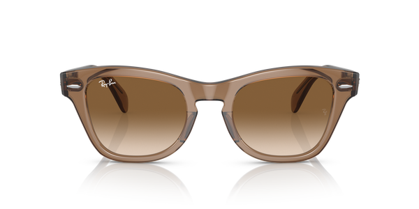 RB-0707S 664051 TRANSPARENT LIGHT BROWN(CLEAR GRADIENT BROW 53*21, Marró, hi-res 1