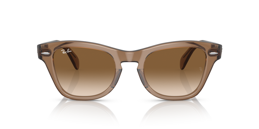 RB-0707S 664051 TRANSPARENT LIGHT BROWN(CLEAR GRADIENT BROW 53*21, Marró, hi-res image number 1